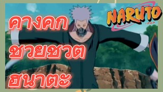 คางคก ช่วยชีวิต ฮินาตะ