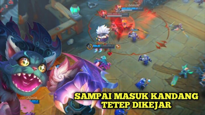 Akibat Terlalu Lincah Sekampung Sampai Geram😹