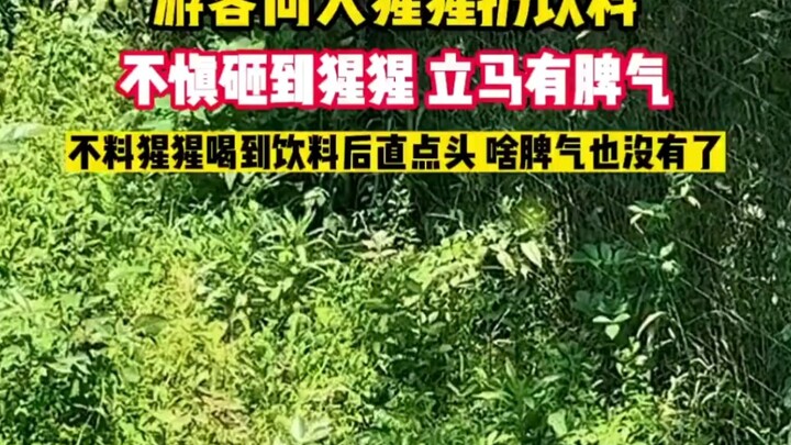 “You can tell he’s a seasoned pro just by how effortlessly he twists off the bottle cap.”