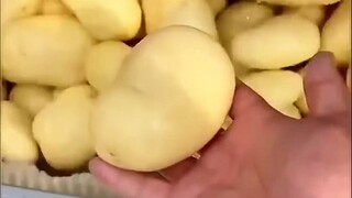 Unboxing video!! The irresistible charm of machinery