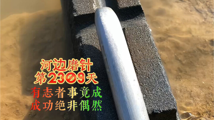 Sharpening the needle by the river, day 2309