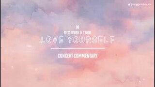 BTS World Tour: Love Yourself Concert Commentary