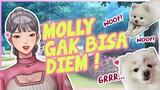 MOLLY KETEMU KEMBARAN? JALAN-JALAN BARENG MOLLY & HANA! | Harumi Hana【Vtuber Indonesia】