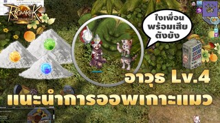 【ROL GUIDE】- แนะนำการออพเกาะแมวให้อาวุธ Lv.4 เทพขึ้นไปอีกขั้น | Ragnarok Landverse