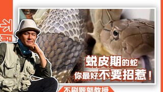 Analisis tentang Ular yang Mengganti Kulit