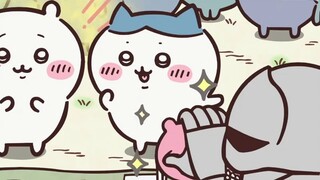 Dalian version of Chiikawa Episode 28 Buy a small bag