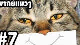 พากย์แมวๆ เดอะ ซีรี่ย์ - Season 1 Ep7「นายหัวฟ้า」ตลกฮาเกรียน