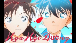 (Ver.2)(Nhạc 8D)Hoa Hải Đường - Jack J97 | ShinRan Couple Version | Mon Ú Official