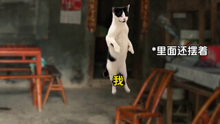Love that never expires in a jar #storyfromtheweb #catmemetheater #truerestore #childhood #kitten