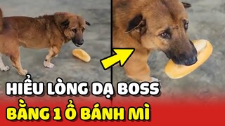Sen biết được LÒNG DẠ của Boss chỉ bằng ổ bánh mì 😂 | Yêu Lu