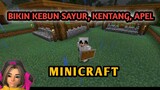 BIKIN KEBUN SAYUR DAN BUAH | MINICRAFT|