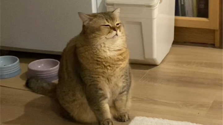 Go ahead and be a high nut that is not defined!