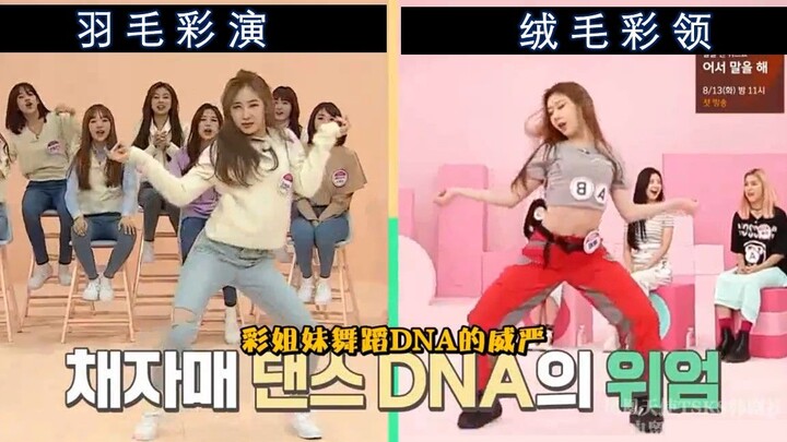 [李彩演-李彩领]神仙姐妹舞蹈DNA的威严！引起热议的姐妹COVER舞蹈