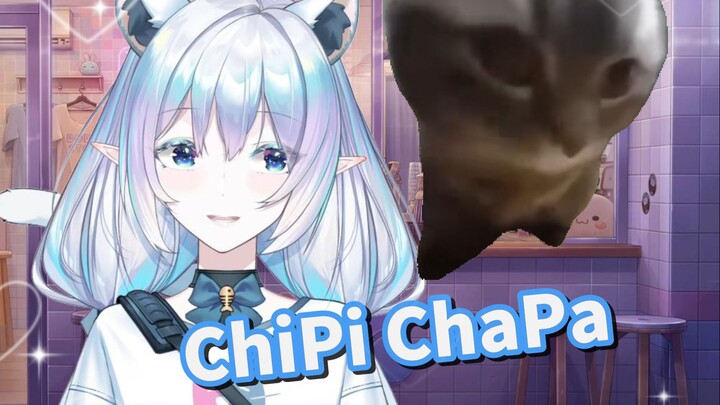 捕捉到一只野生ChiPiChaPa猫