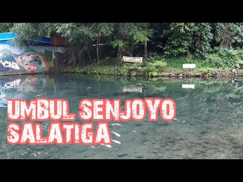 WISATA RAKYAT MURAH MERIAH UMBUL SENJOYO | SALATIGA | 2022