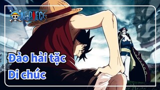 [Đảo hải tặc ] Di chúc