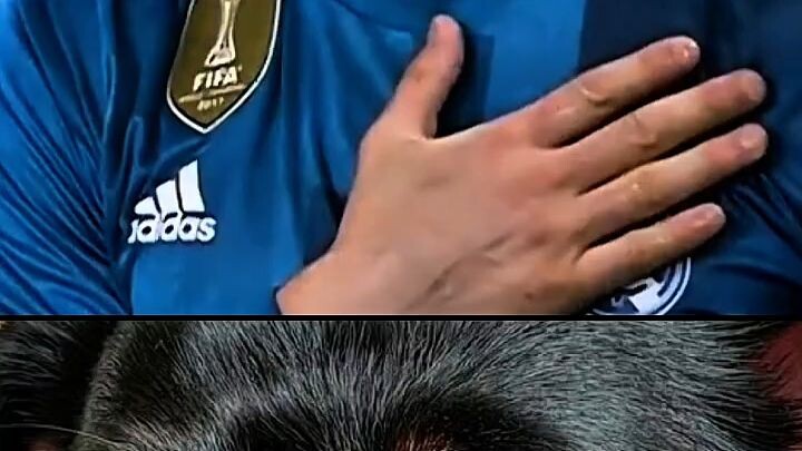 viral