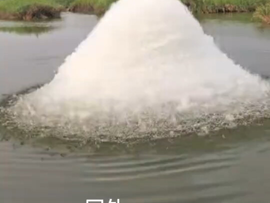 อยู่ต่างประเทศ บนกระป๋องนมผงไม่มีภาษาจีนเลยสักตัว
