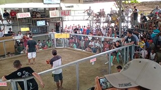 talodak