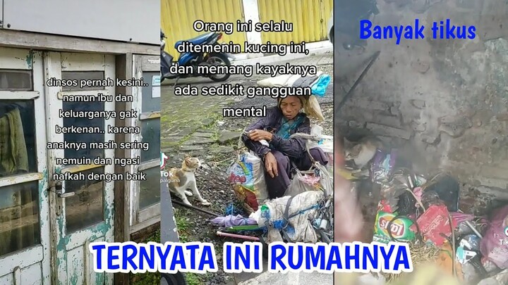 KONDISI KUCING OREN PART 2