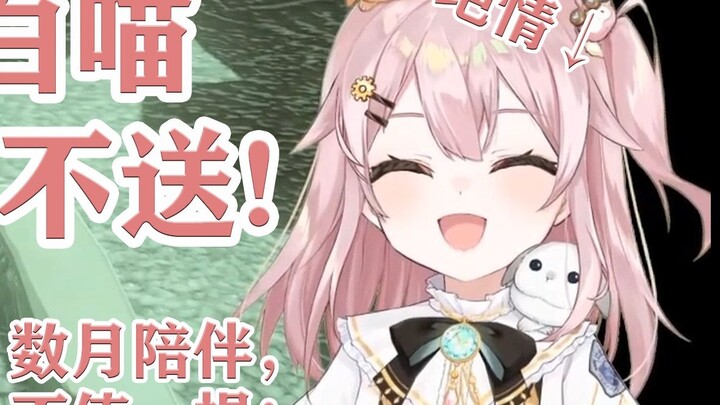 Pemuda yang berpura-pura menjadi pacar Tafi dipotong-potong oleh Tafi dengan kecepatan cahaya setela