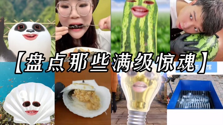 Điểm lại những màn hú hồn đạt cấp tối đa! Tôi cũng muốn ăn vẹm bùn, tôi là bảo vật quốc gia mà. Bảo 