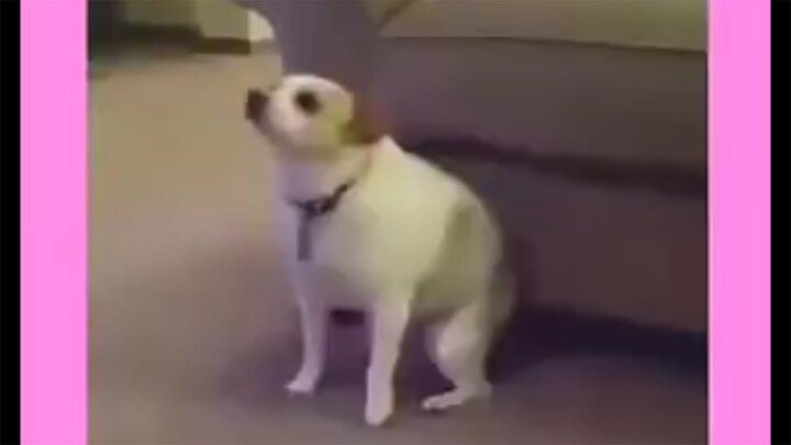 【Life】Most embarrassing moments