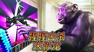Minecraft: Gorillas kill the Ender Dragon!