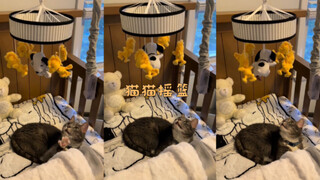 Tempat tidur bayi yang saya beli untuk si kecil 🥺🥺