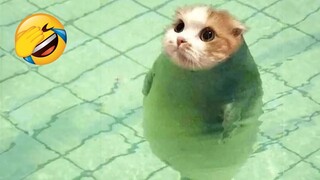 New Funny Animals 2023 😍😄 Funniest Cats and Dogs Videos 🐶😹 Part 19
