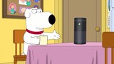 Anjing menyukai speaker pintar