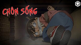 Conan Bị Nhốt Trong Quan Tài?! Bóng Tối Bao Trùm Conan (Tập 845 - 846) | Conan | Ten Anime