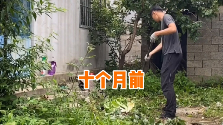 热爱生活的老公，一边赚钱养家，一边用空闲时间把荒废了10年的小院改造成了这样