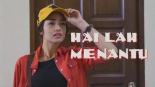 Hai Lah Menantu