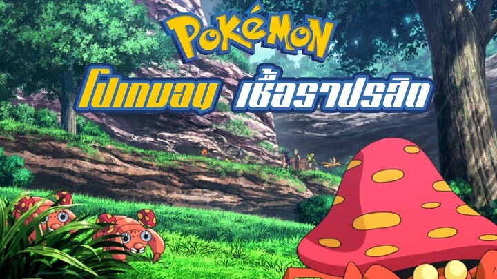 Pokemon Profile Paras Parasect โปเกมอนแมลง ปรสิต สุดสะพรึง!!!