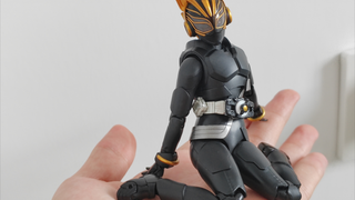 没有人可以拒绝一只黑色的猫猫