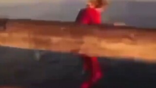 【冲浪/骑鲨鱼】嘟囔了一句人生苦短，然后扭头一个猛子就扎进海里骑鲨鱼去了