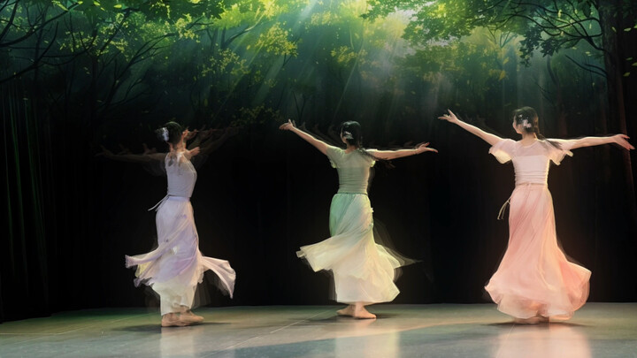 Rasa Musim Semi | Tahun Baru Imlek/Musim Semi