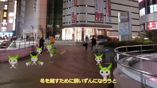 冬の始まり＋おまけ