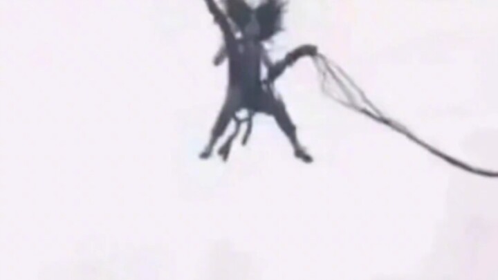 《男朋友的拍照技术》