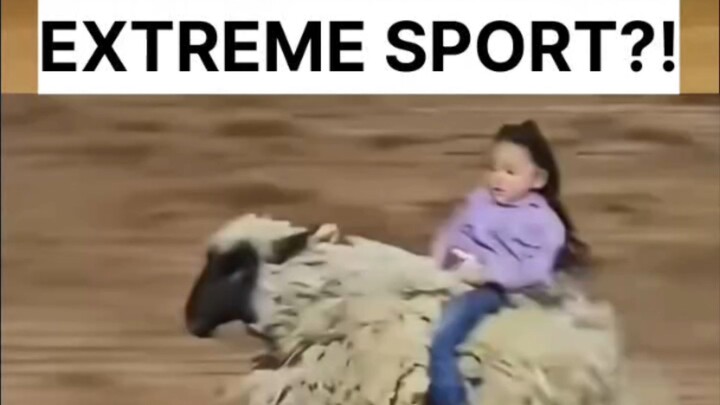 Meet The Youngest Rodeo Riders In The World!