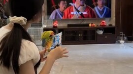 丸辣，丸辣，建议不要轻易尝试