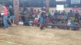 1cock ulutan Naic cockpit arena win tyo mga boss nasamahan nanaman ni ladylocks ,😎😎😎😎😎😎🍻🍻🍻