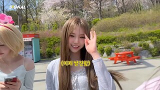 [ID SUB] What happens when two couples go to an amusement park | SIGNAL 250828