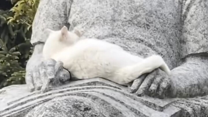 So healing! I just had to draw it—no talk of taking on commissions for now ^O^