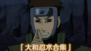 【大和】全忍术合集！