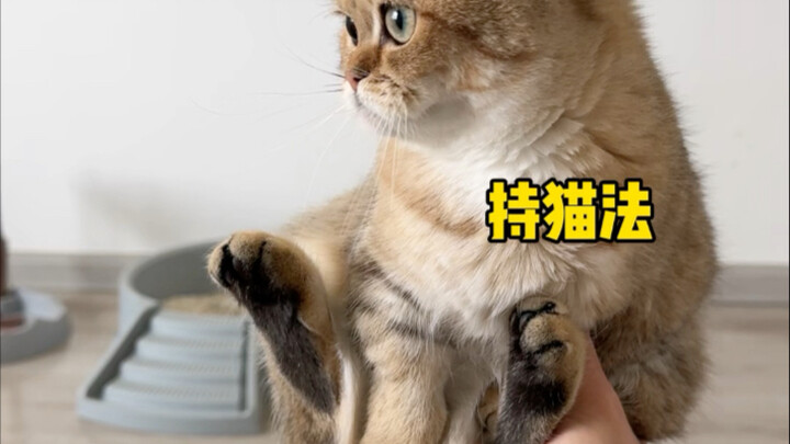 لماذا كل من أمسكتُ به أصبح مشلولاً من النصف السفلي؟ 😂