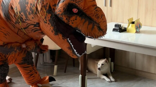 Mom's Big Son (T. Rex Mom)