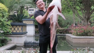 [Makanan]|Ikan Bighead Carp Seberat Lebih dari 28 Kg Dimasak Hotpot!