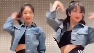 Các video ngắn chính thức trên Instagram và Tiktok của Babymonster (Pharita, Asa, Ruka)